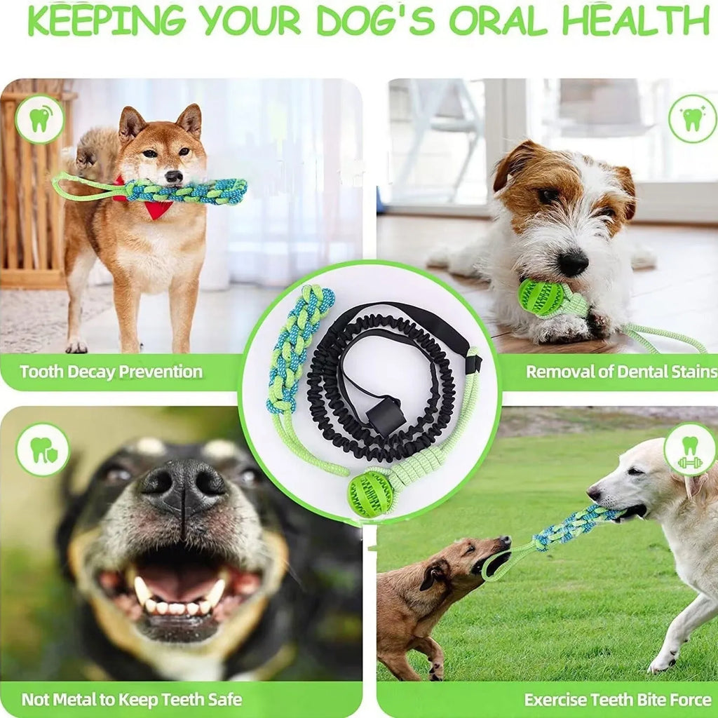 Green cotton rope dog tug toy with corncob and teether ball designs for interactive play.