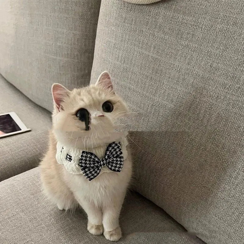 Red and black houndstooth patterned knitted wool dog collar and neck warmer on a size chart.