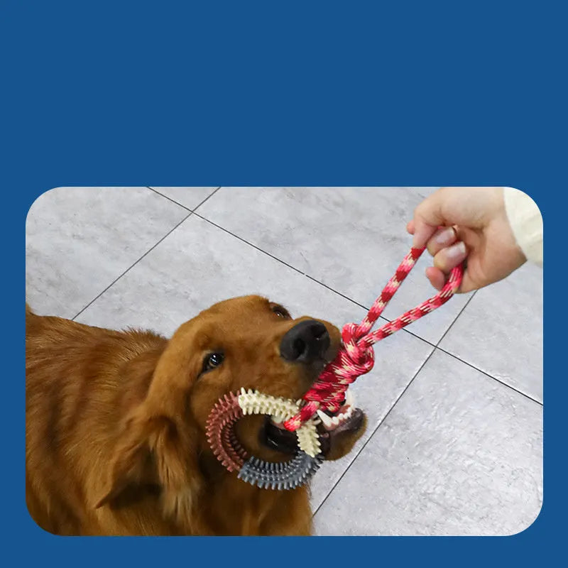 Braided rope dog chew toy with knots in blue colour, shown at 43 cm length