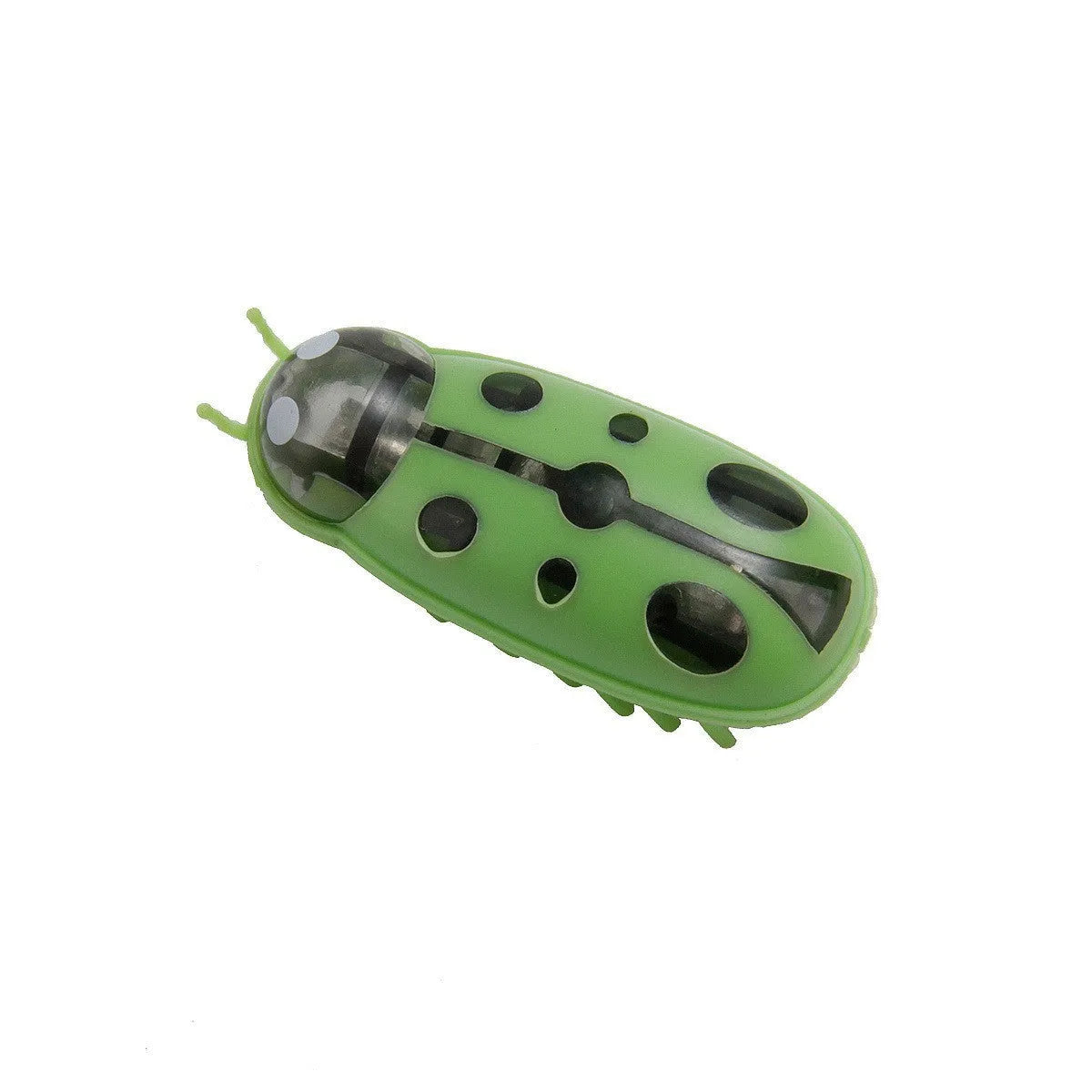 Electric toothbrush worm cat teaser toy showing ladybug and iron cow style designs