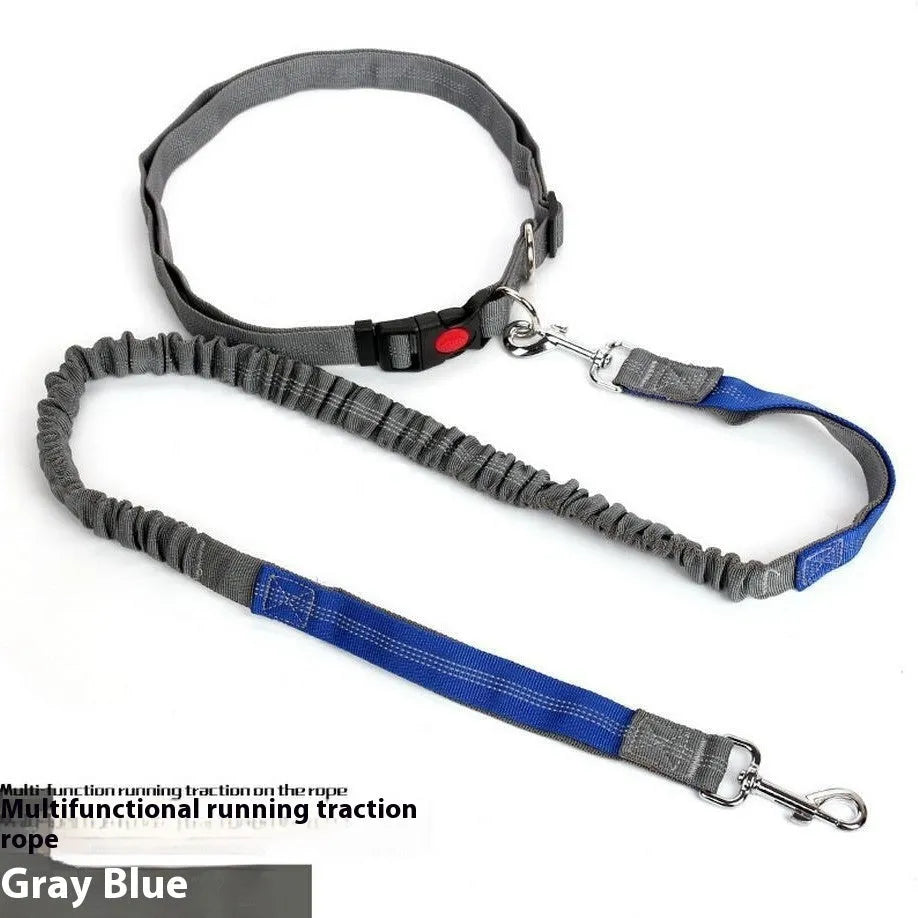 Grey and blue nylon dog leash with reflective filament and 2.5cm width.