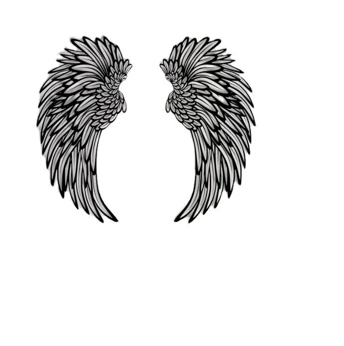 Carved metal wall decor with light, angel wings design, double-sided black iron, 35cm pair on a wall