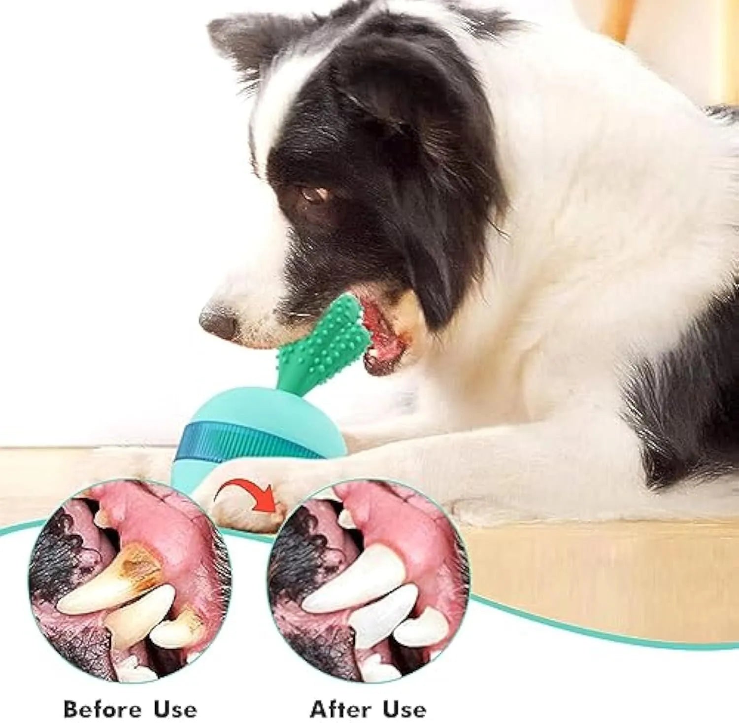 Blue durable rubber dog toy with treat dispensing holes and tumbler design