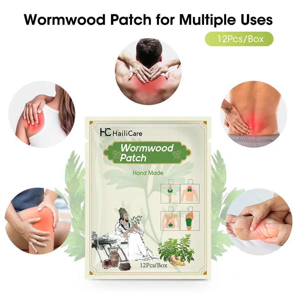 Bag containing 12 Chinese mugwort herbal adhesive patches for knee, back, neck and foot support.