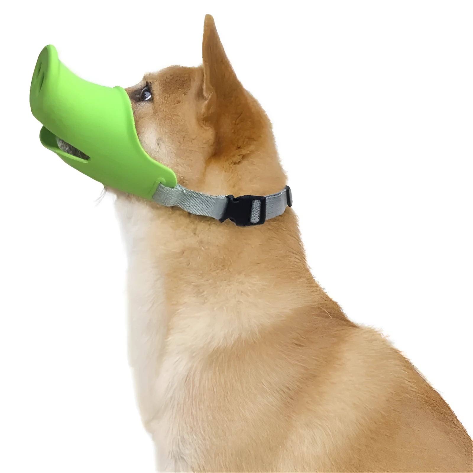 Green silicone anti-bite mouth cover muzzle for a long-mouthed dog on a white background.
