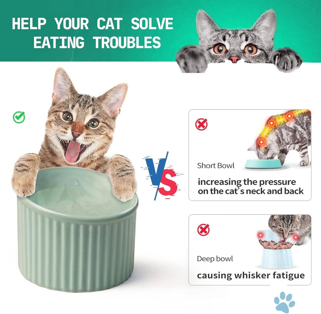 Elevated ceramic cat bowl in light green colour with tilted round design for comfortable feeding