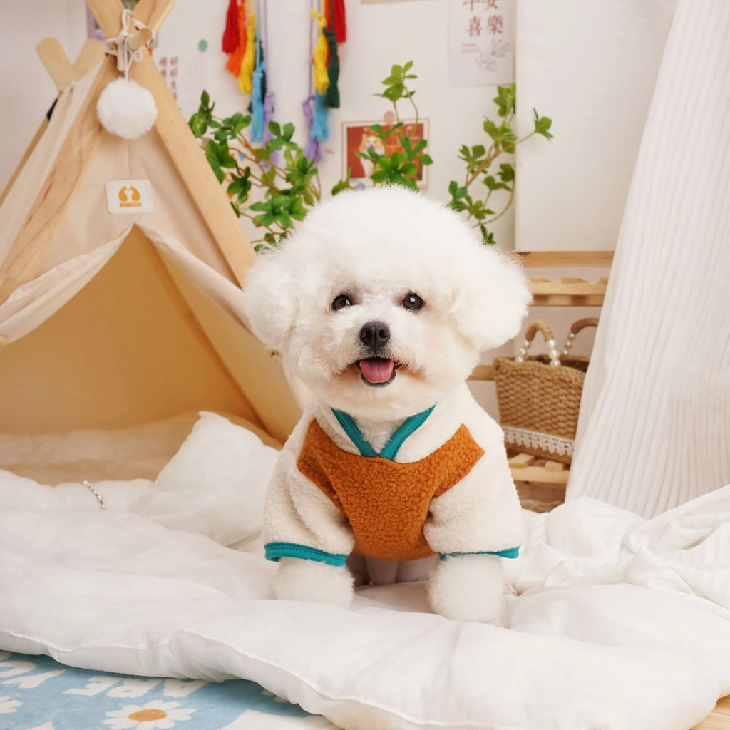 Pet lambswool fleece sweatshirt in caramel, wine red, or dark green for autumn winter wear