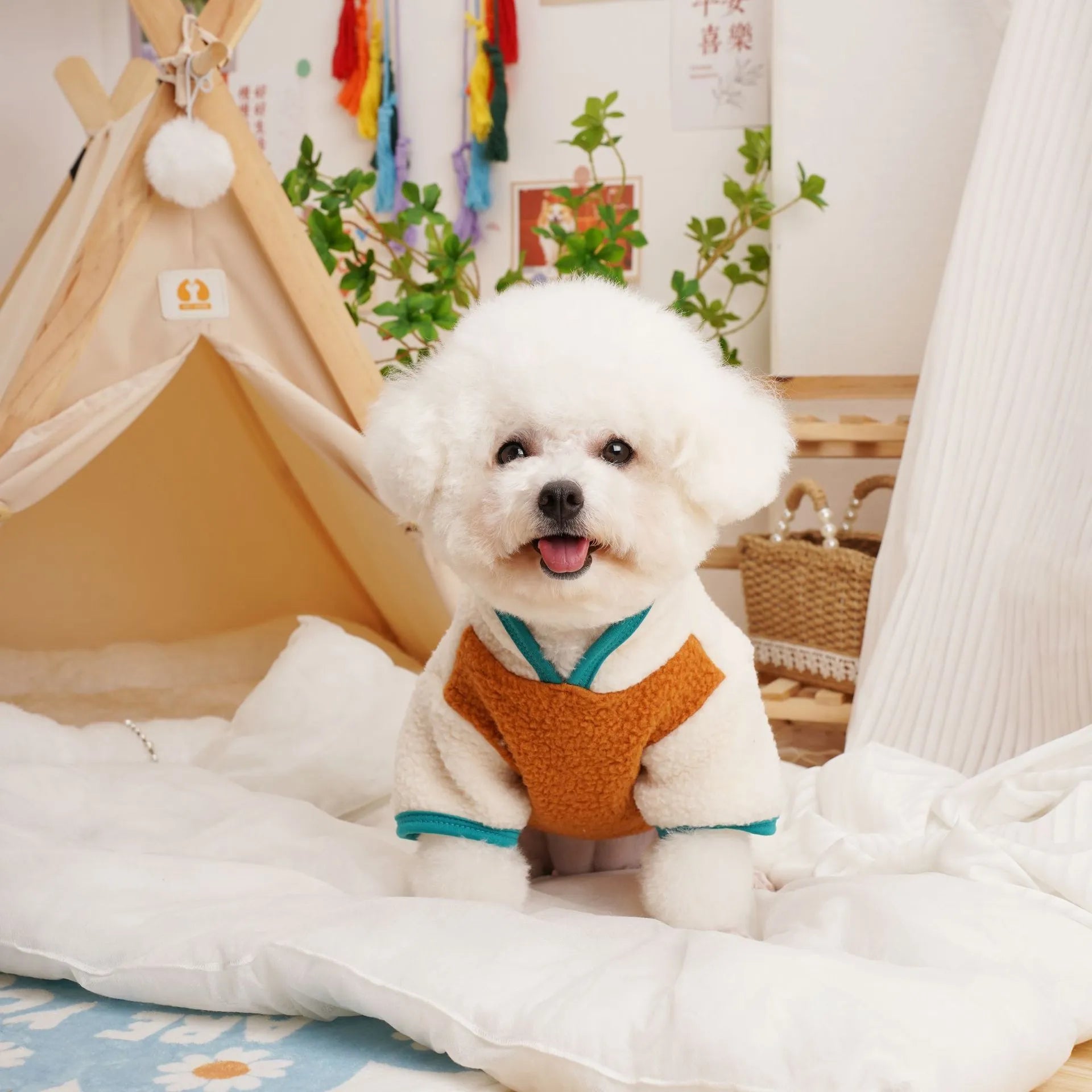 Pet lambswool fleece sweatshirt in caramel, wine red, or dark green for autumn winter wear