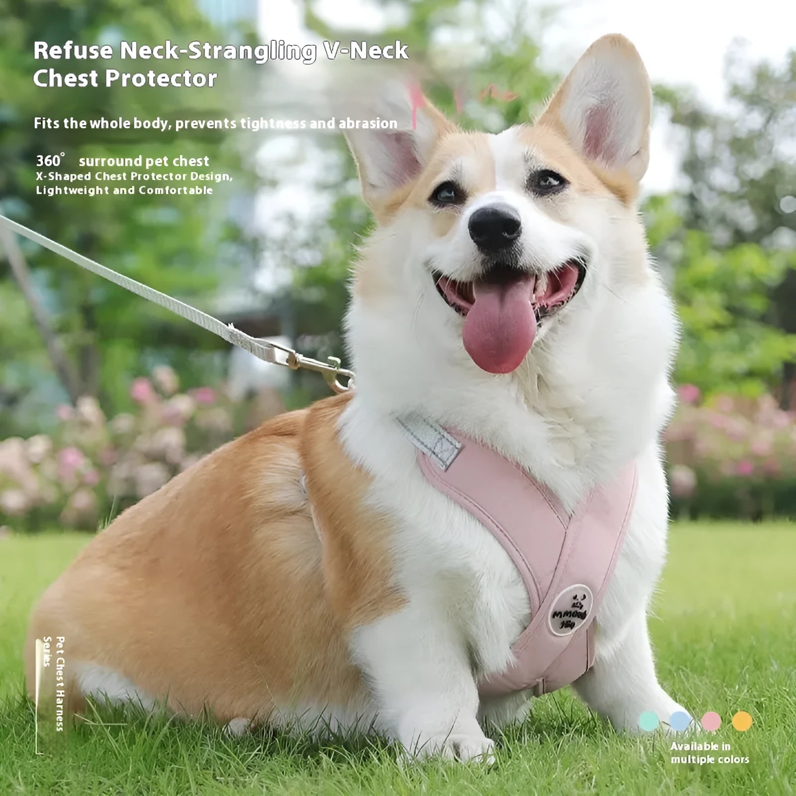 Polyester dog harness and rope lead set in blue, shown on a model dog.
