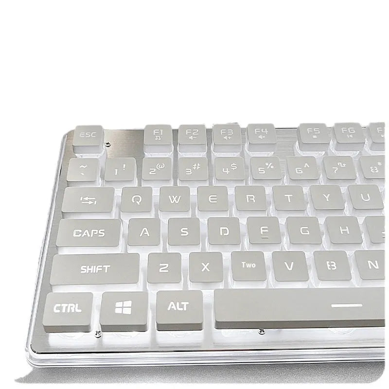 Wired mechanical keyboard with quiet button switches and single-colour backlighting
