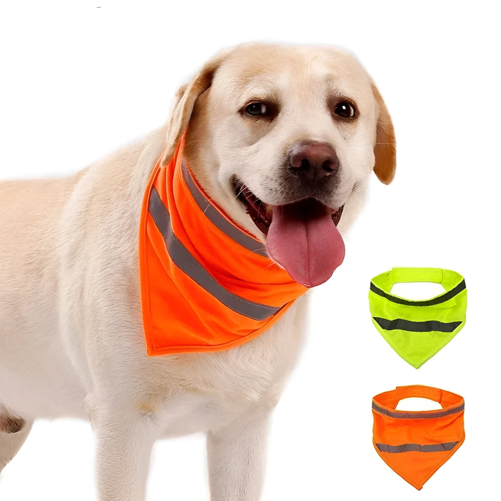 Bright orange polyester dog bandana with adhesive strap shown on canine neck