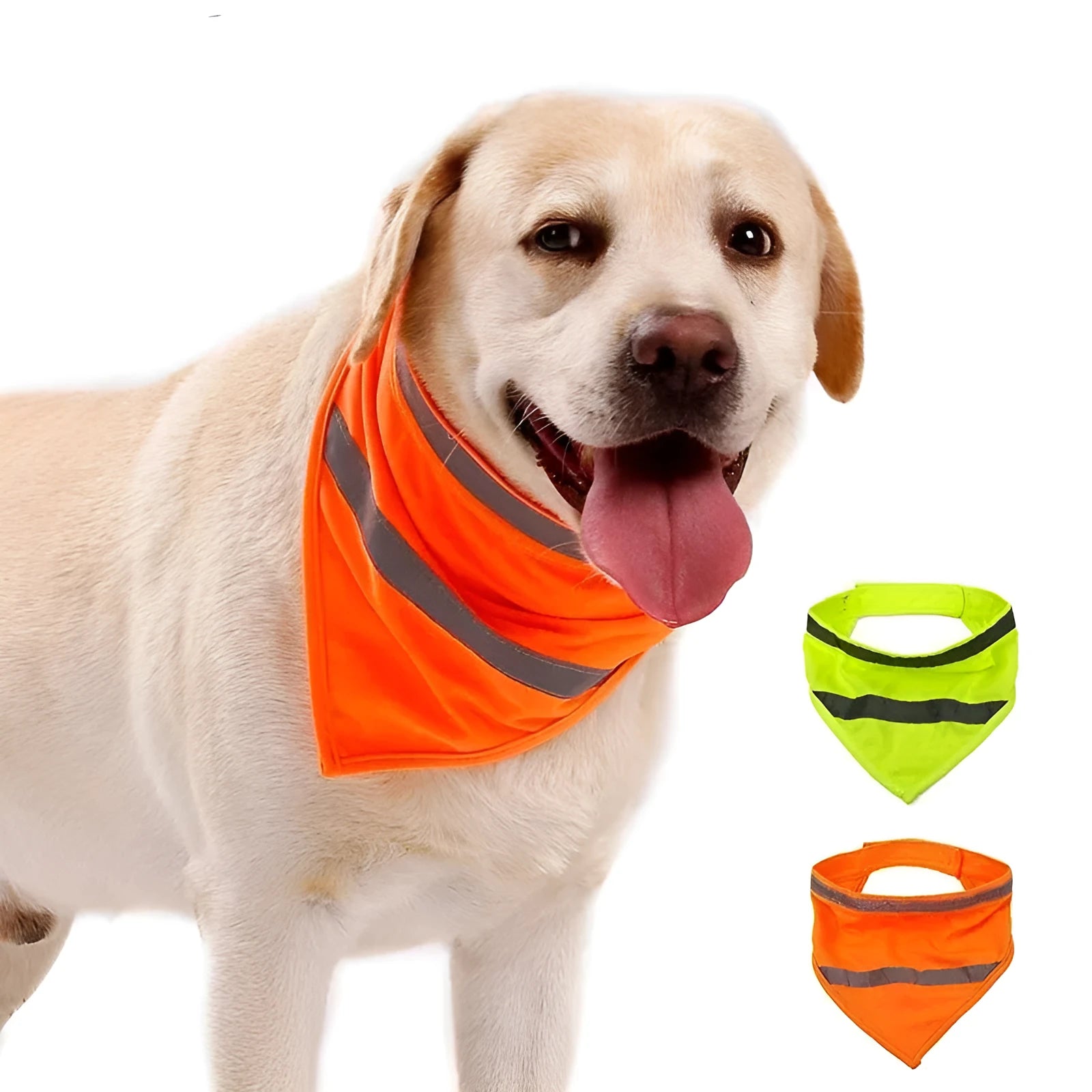 Bright orange polyester dog bandana with adhesive strap shown on canine neck