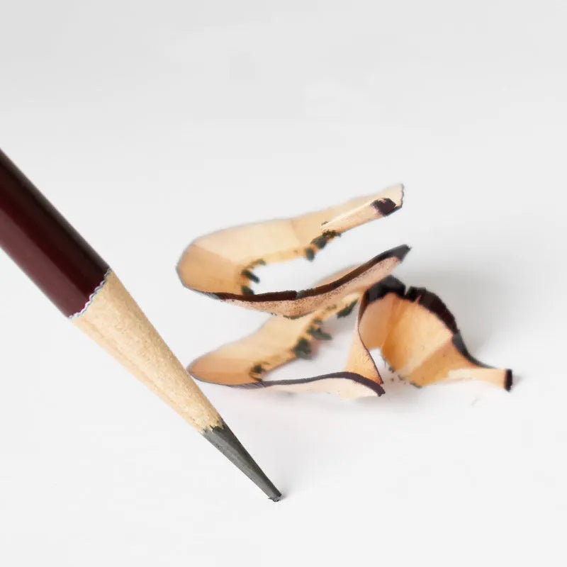 Professional charcoal pencil art set with multiple hardness grades and soft carbon sticks for sketching