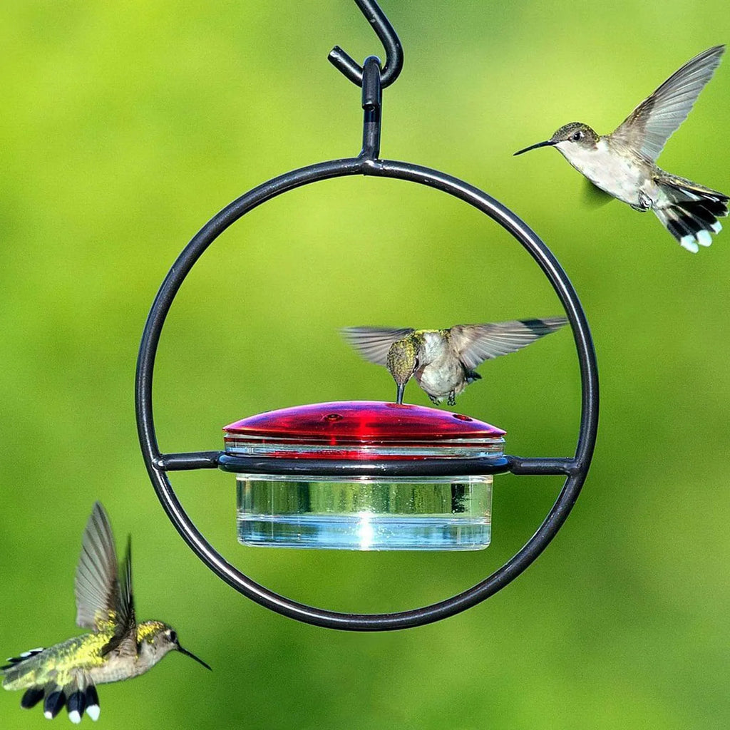 Metal round hanging hummingbird feeder in black with perch and nectar ports on outdoor hook