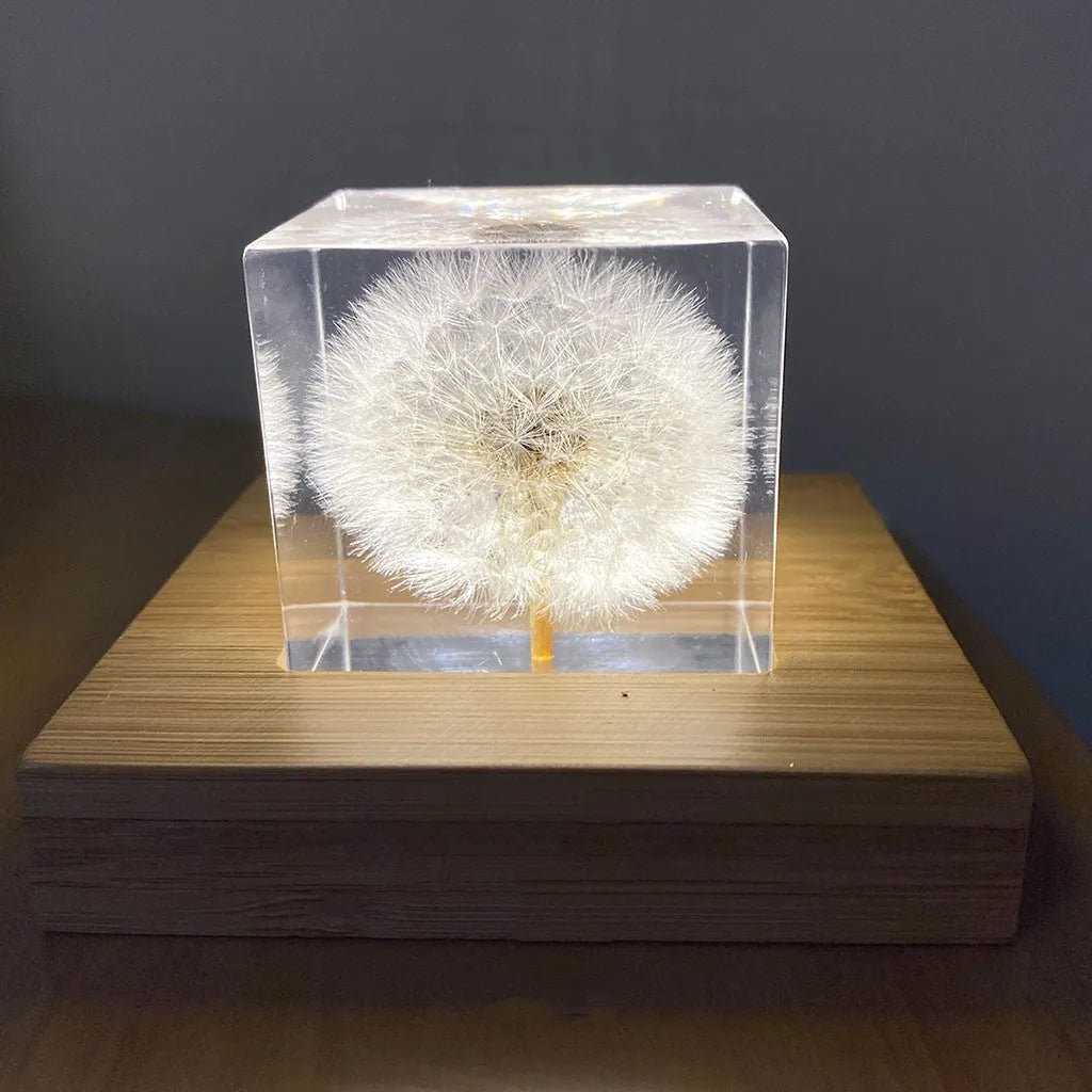 5cm clear resin cube with preserved dandelion flower inside, wooden box and USB charging base