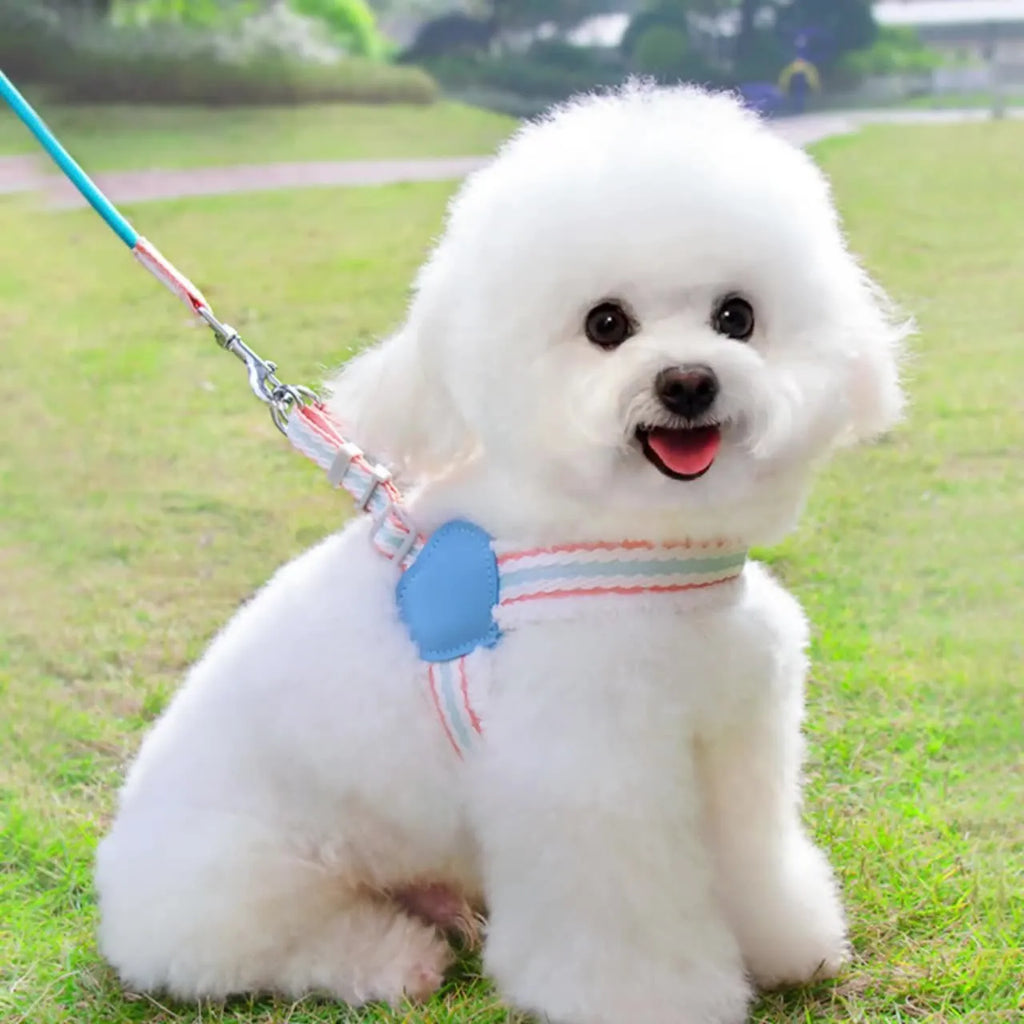 Blue breathable chest vest dog leash 1.5m for small medium dogs like Corgi Shiba Inu Bichon
