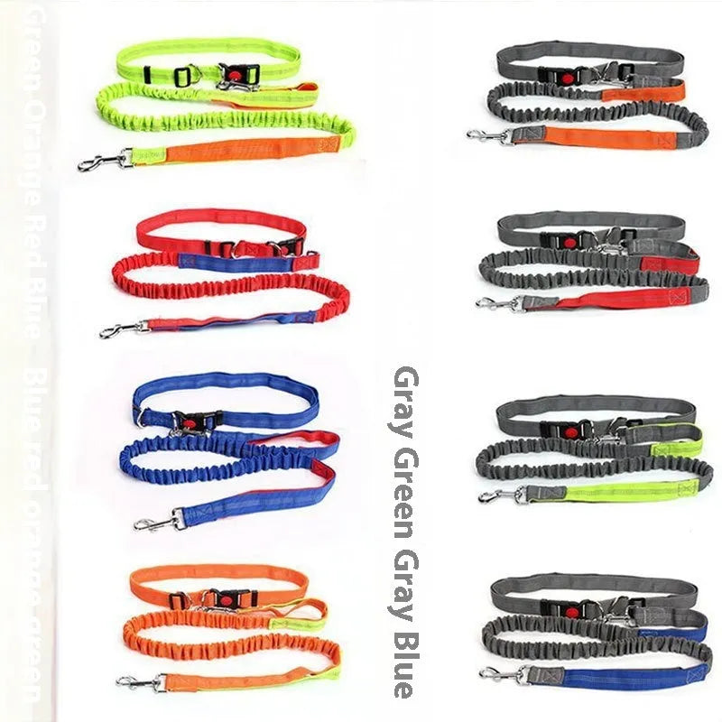 Grey and blue nylon dog leash with reflective filament and 2.5cm width.