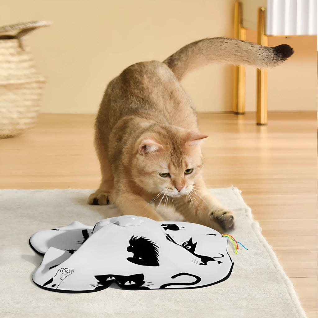 Plastic cat teaser toy measuring 19.8 x 11.5 x 19.5 cm with interactive design