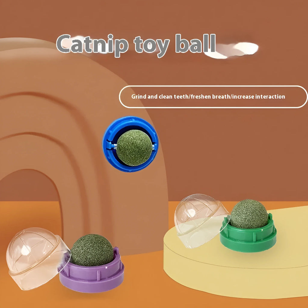 Plastic catnip ball toy in various colours with textured surface for molar teeth cleaning