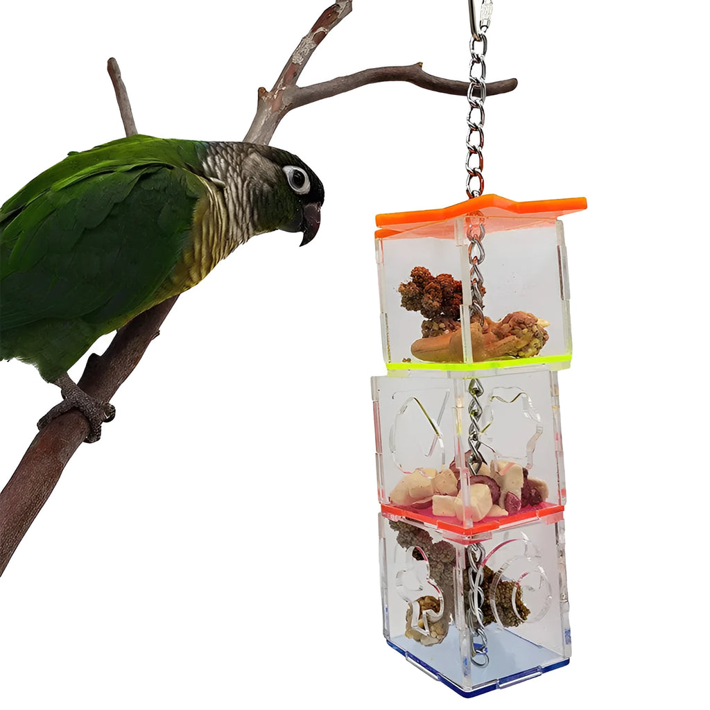Clear acrylic parrot foraging toy for holding fruits and nuts, measuring 32 cm long.