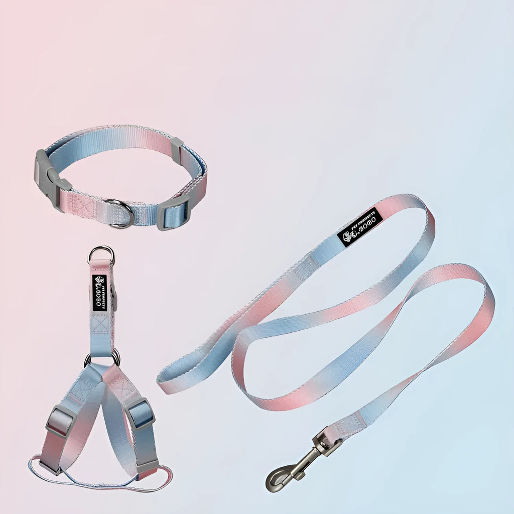 Nylon dog leash set showing gradient colour options including pink blue yellow purple green patterns