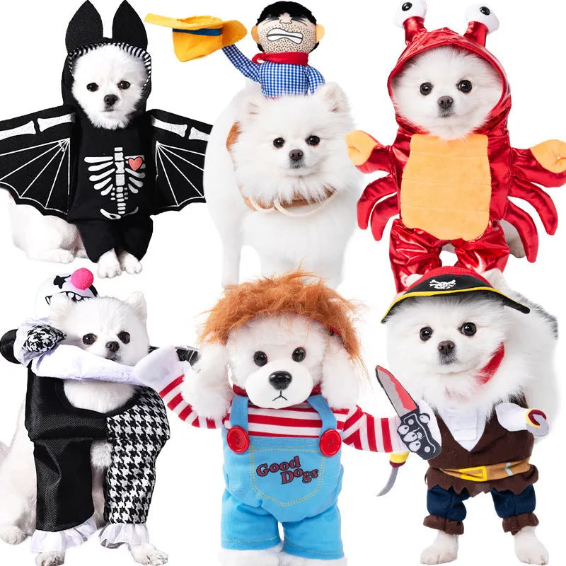 Halloween dog costume selection showing bat suit, devil outfit, and space clothing styles for pets