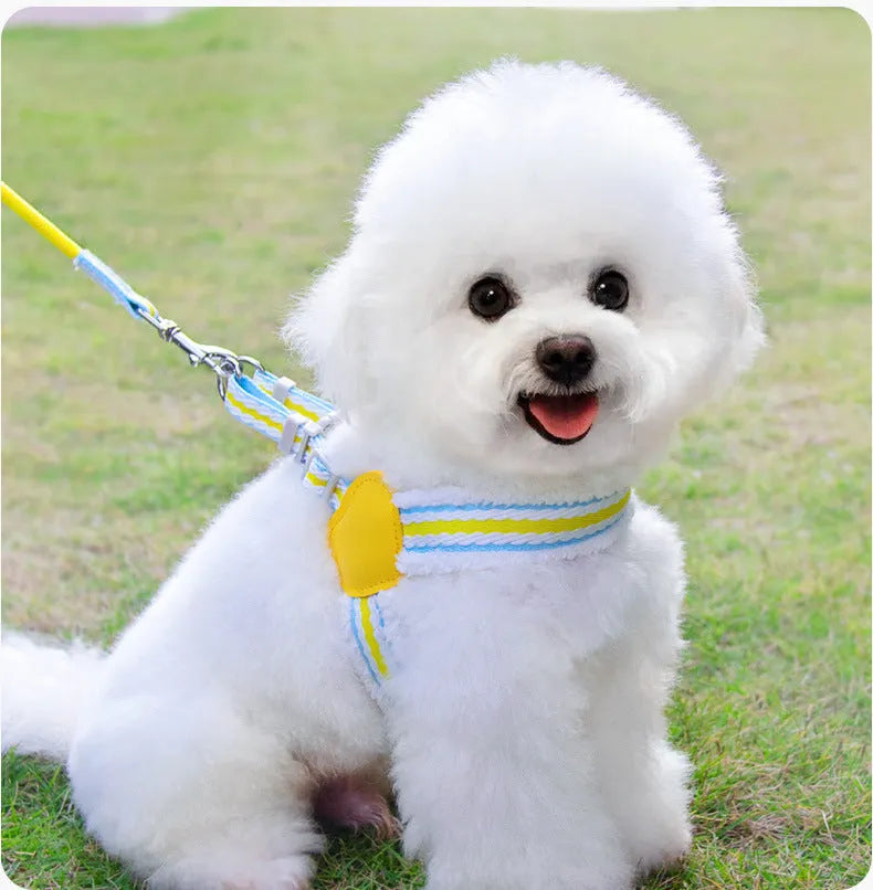 Blue breathable chest vest dog leash 1.5m for small medium dogs like Corgi Shiba Inu Bichon