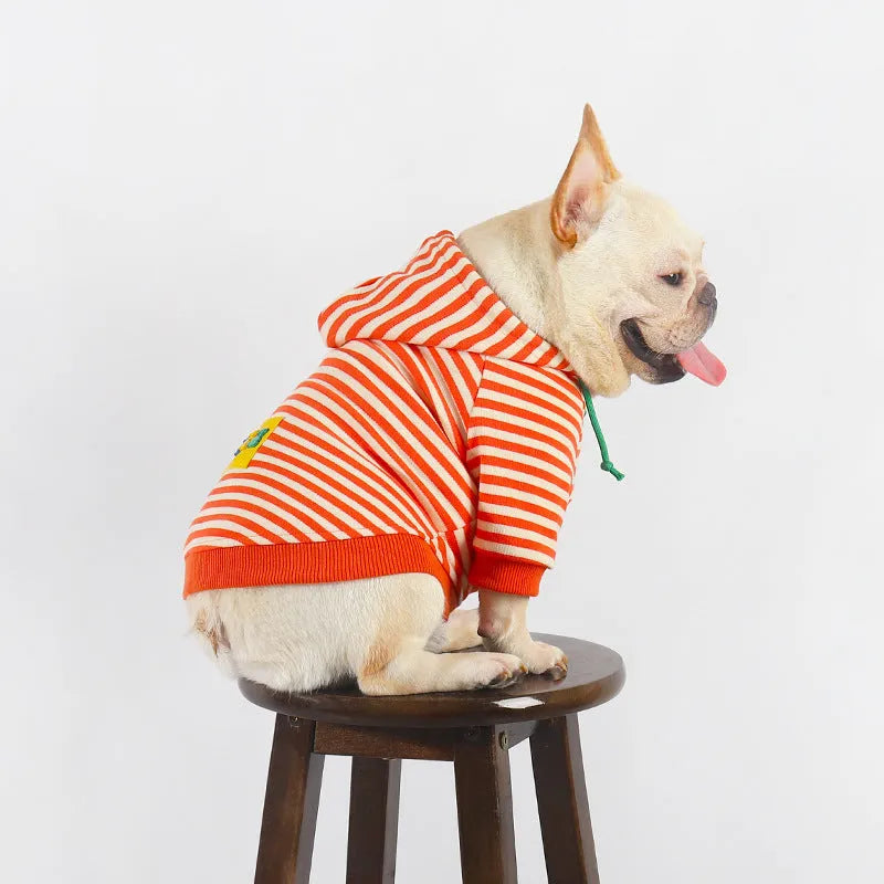 Orange cotton hooded sweater on a dog, showing the front and hood design.