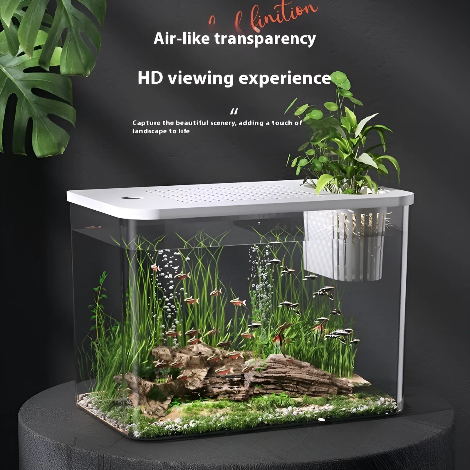 A medium-sized transparent plastic Betta fish tank with a black cover, measuring 32cm long.
