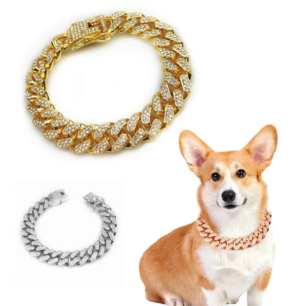 Hip hop pet collar in gold with alloy finish and 12.5cm width on a dog