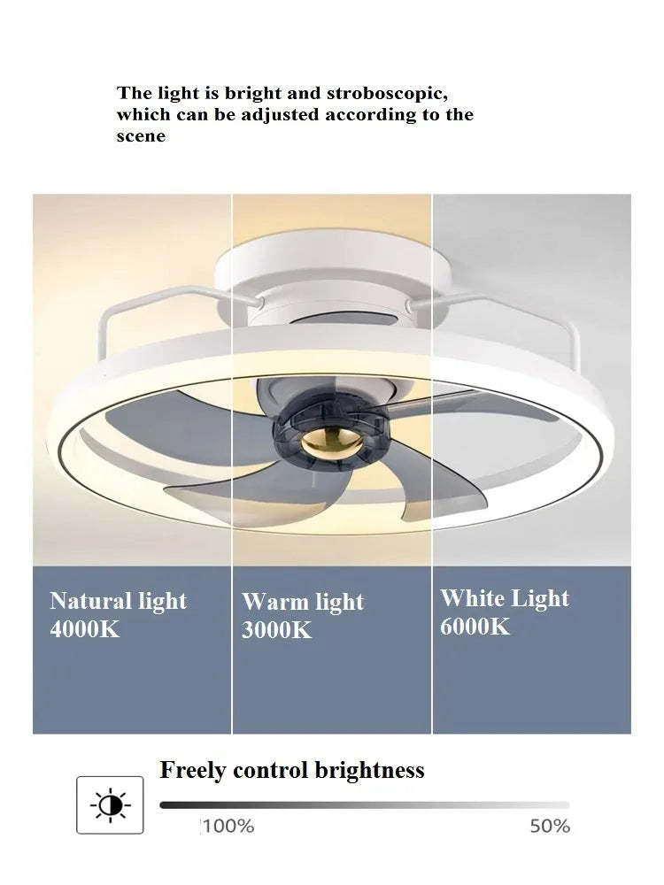 Simple Fashion modern ceiling fan with light showing white acrylic lampshade and PC blades.