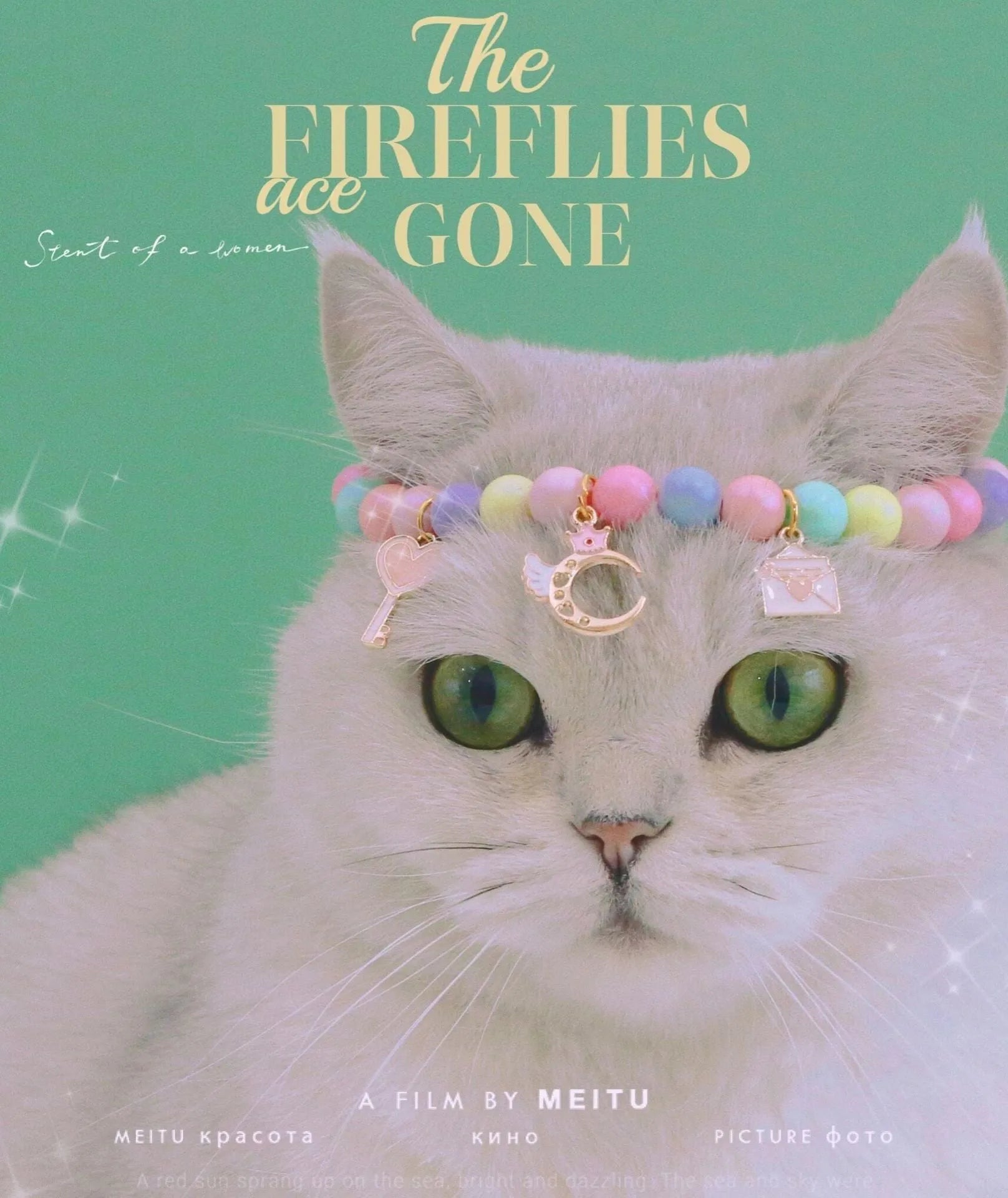 Colourful macaron-themed resin pet collar and matching bracelet set for cats and dogs.