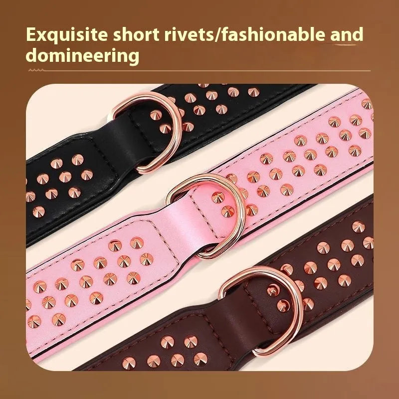 Leather dog collar with metal rivets in chocolate colour, shown with a D-ring and buckle.