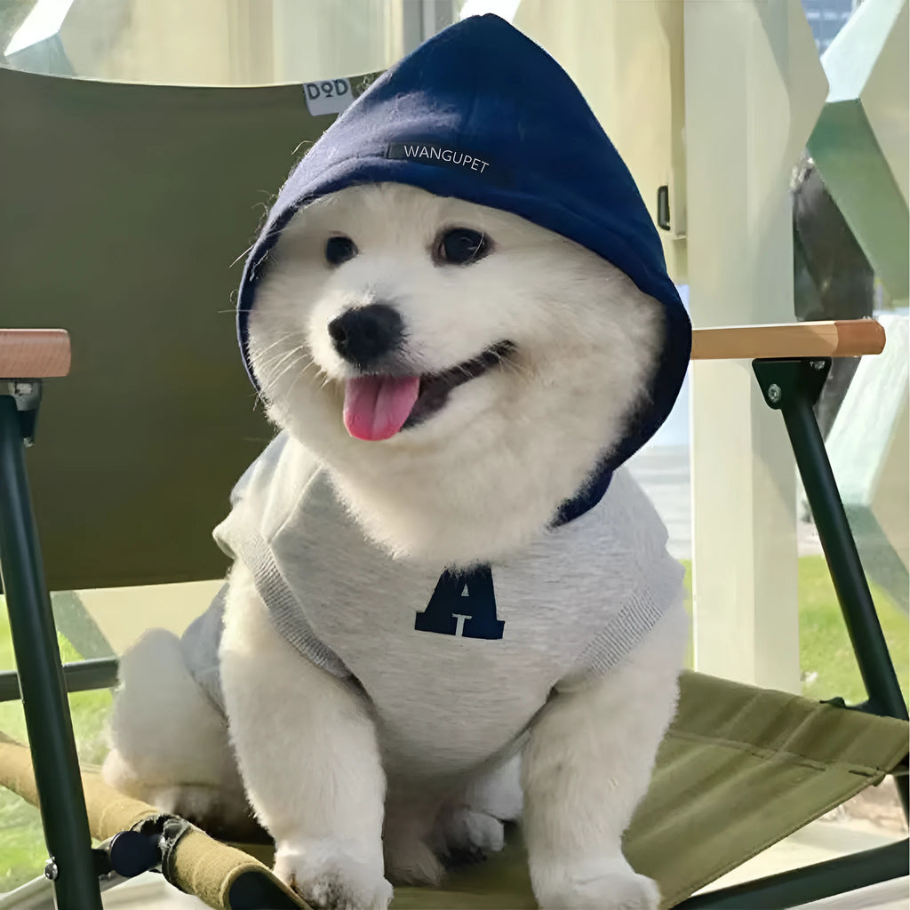 Blue and grey white pet hoodie with reflective letters for cats and dogs in slim-fitting casual style