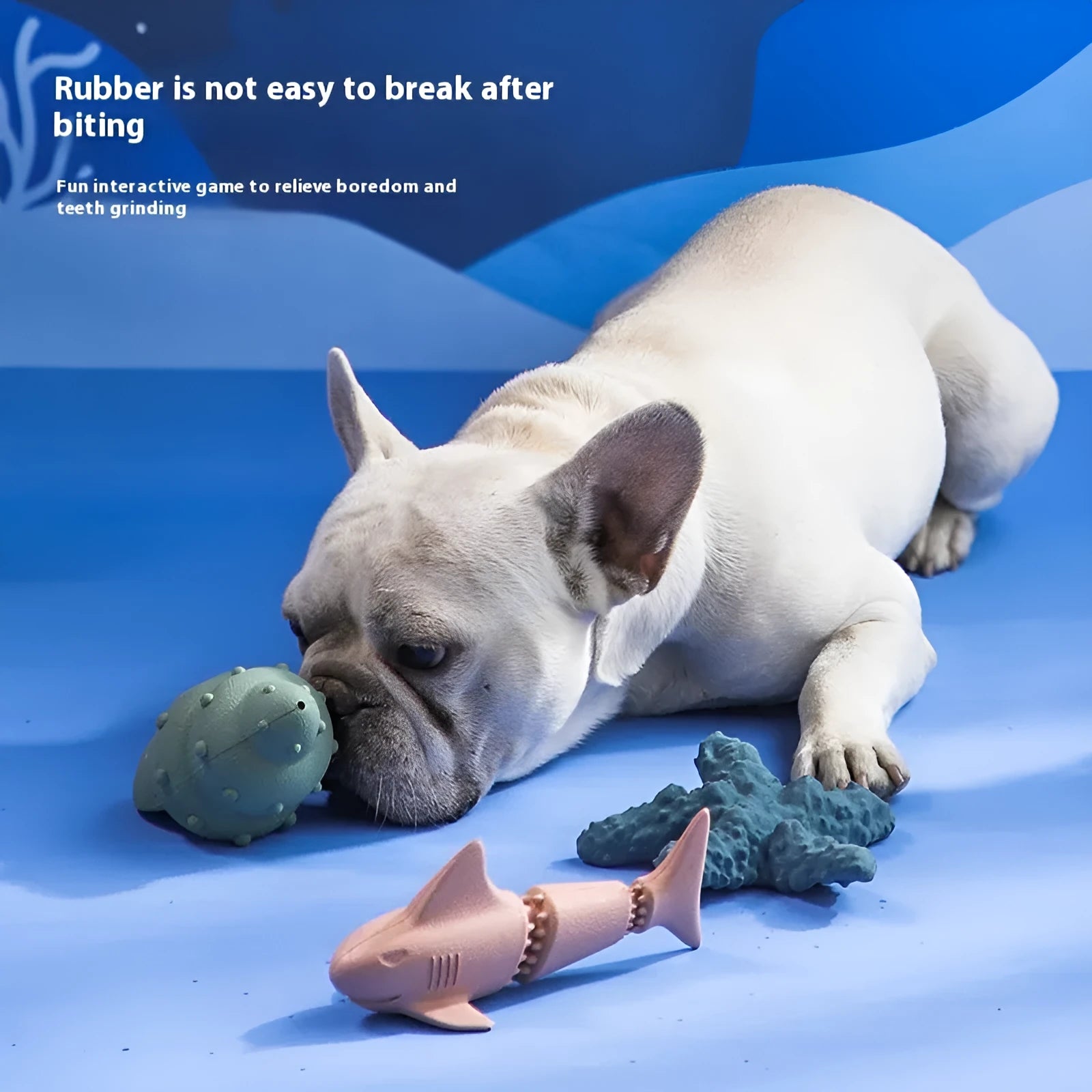 Blue and green shark-shaped rubber dog chew toy on a white background.