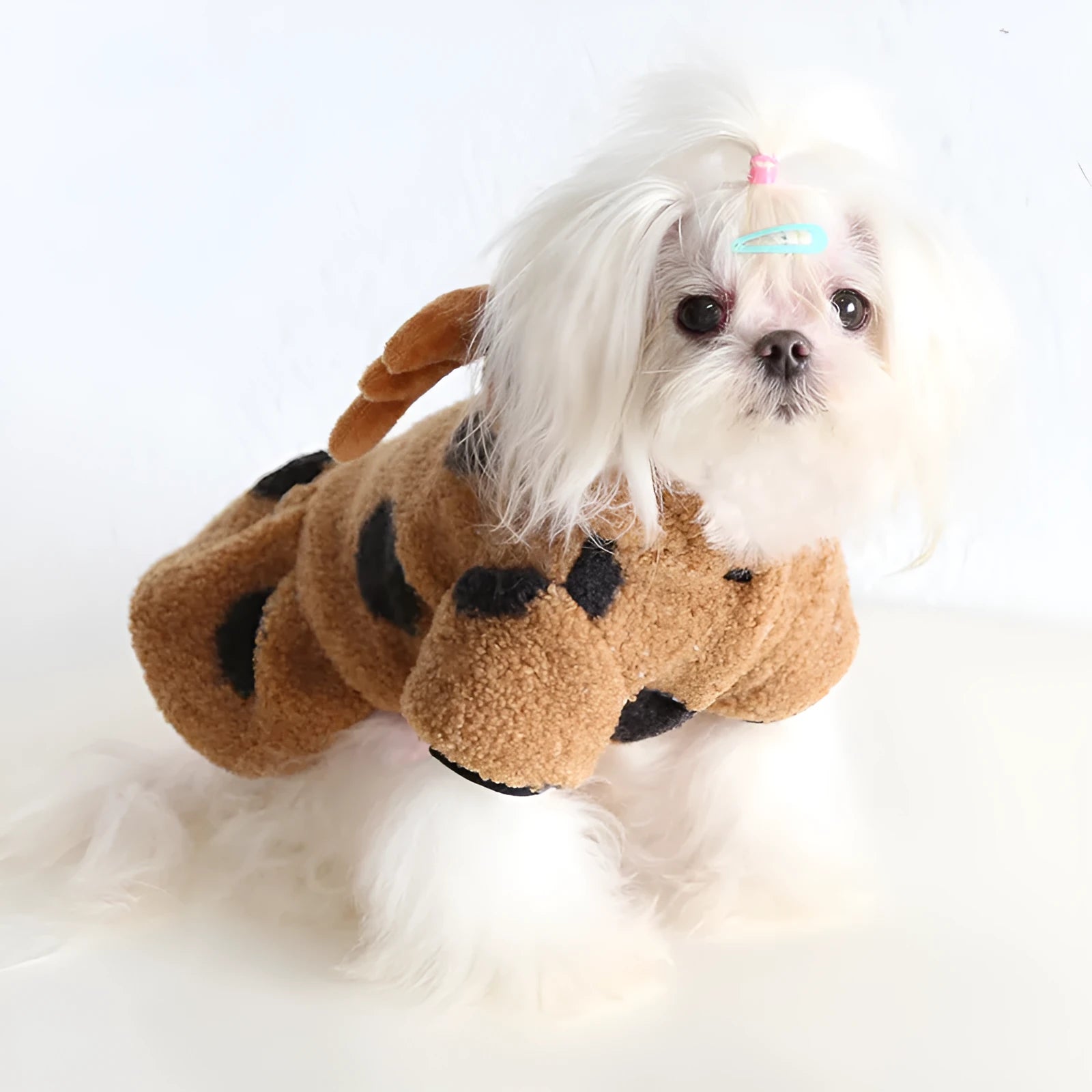 Polka dot pattern pet clothing for dogs and cats in skirt or four leg styles