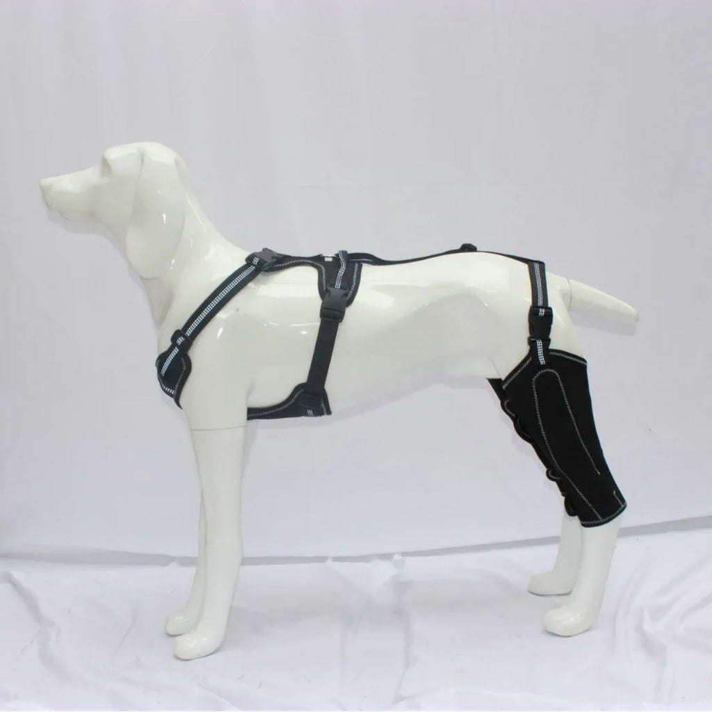 Black dog thigh protective sleeve with adjustable metal support frame for postoperative recovery