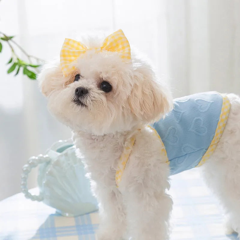 Small dog wearing a blue heart relief texture vest with bow suspenders and a matching hairband.
