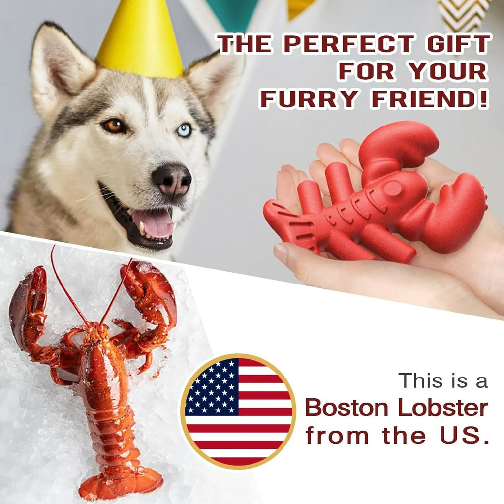 Red heavy-duty nylon chew bone toy for large breed dogs on a plain background