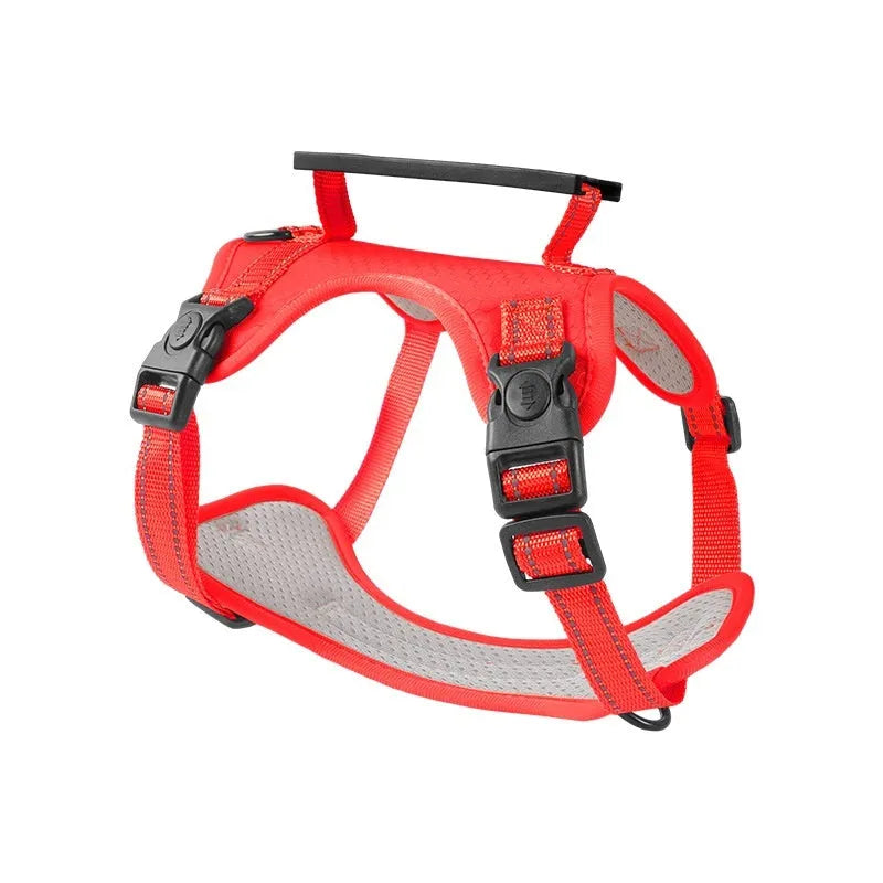 Polyester dog chest harness and lead set in various colours including red, blue, and yellow.
