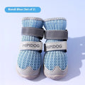 Cartoon style blue and green breathable dog shoes with adjustable strap on a pet's paw.