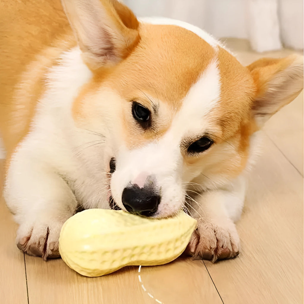 Yellow peanut-shaped dog chew toy with squeaker for dental cleaning