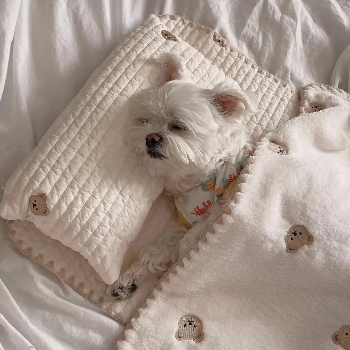 Simple Bear design three-piece dog bed set with pillow, mattress, and quilt in two size options.