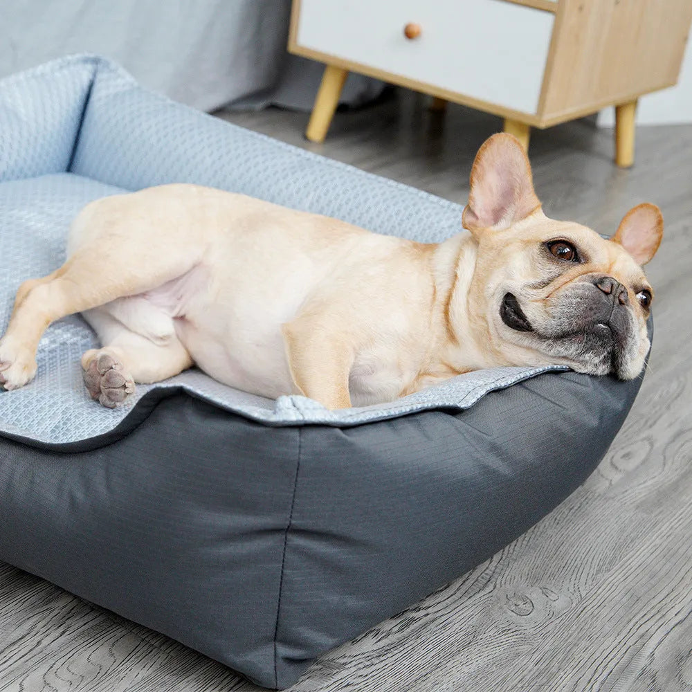 Pet bed with removable cover in three sizes for small to medium dogs and cats