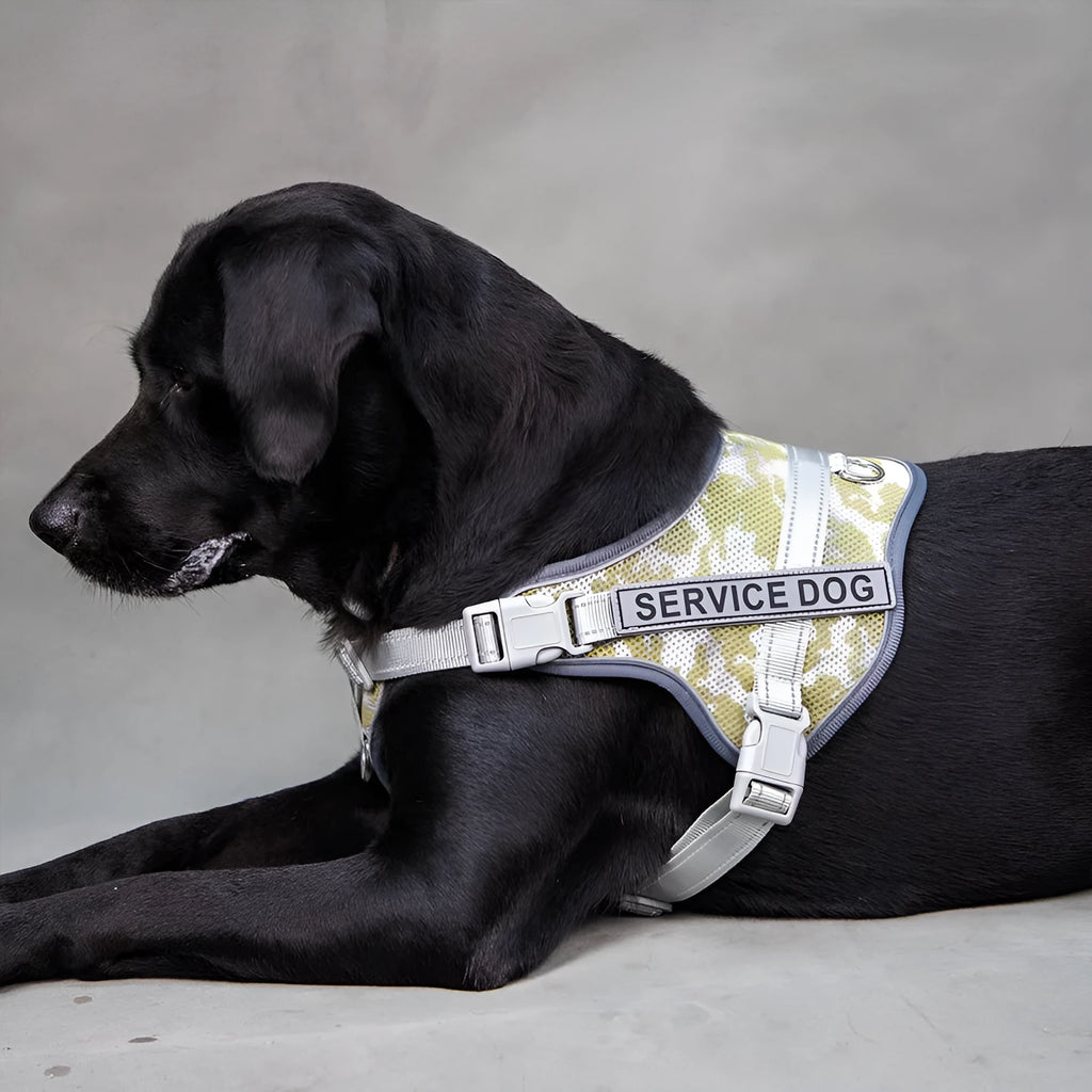 Colourful reflective dog harness with anti-strangulation design in camouflage patterns
