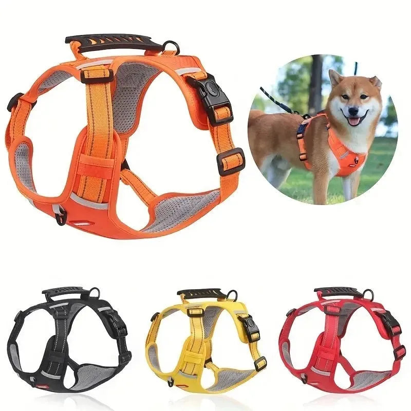 Polyester dog chest harness and lead set in various colours including red, blue, and yellow.