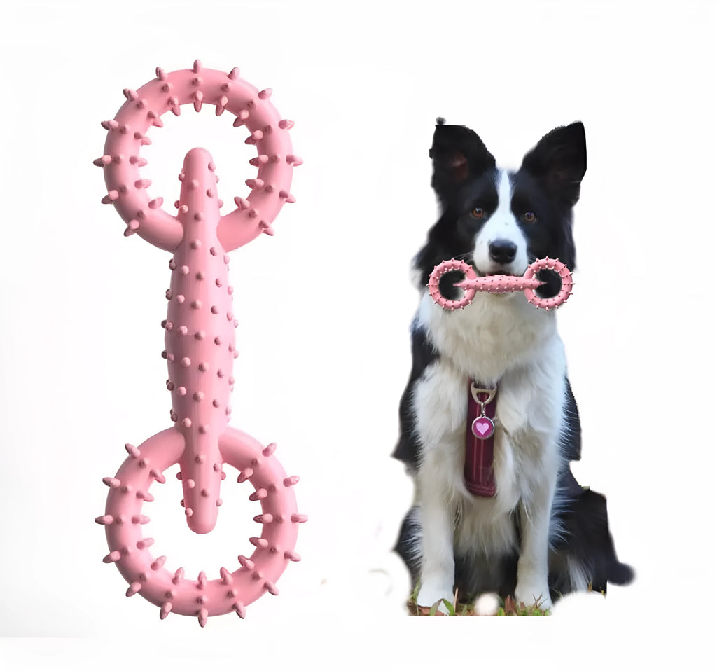 Blue TPR dog chew toy ring with chew board texture, shown beside measurement scale indicating 16cm diameter