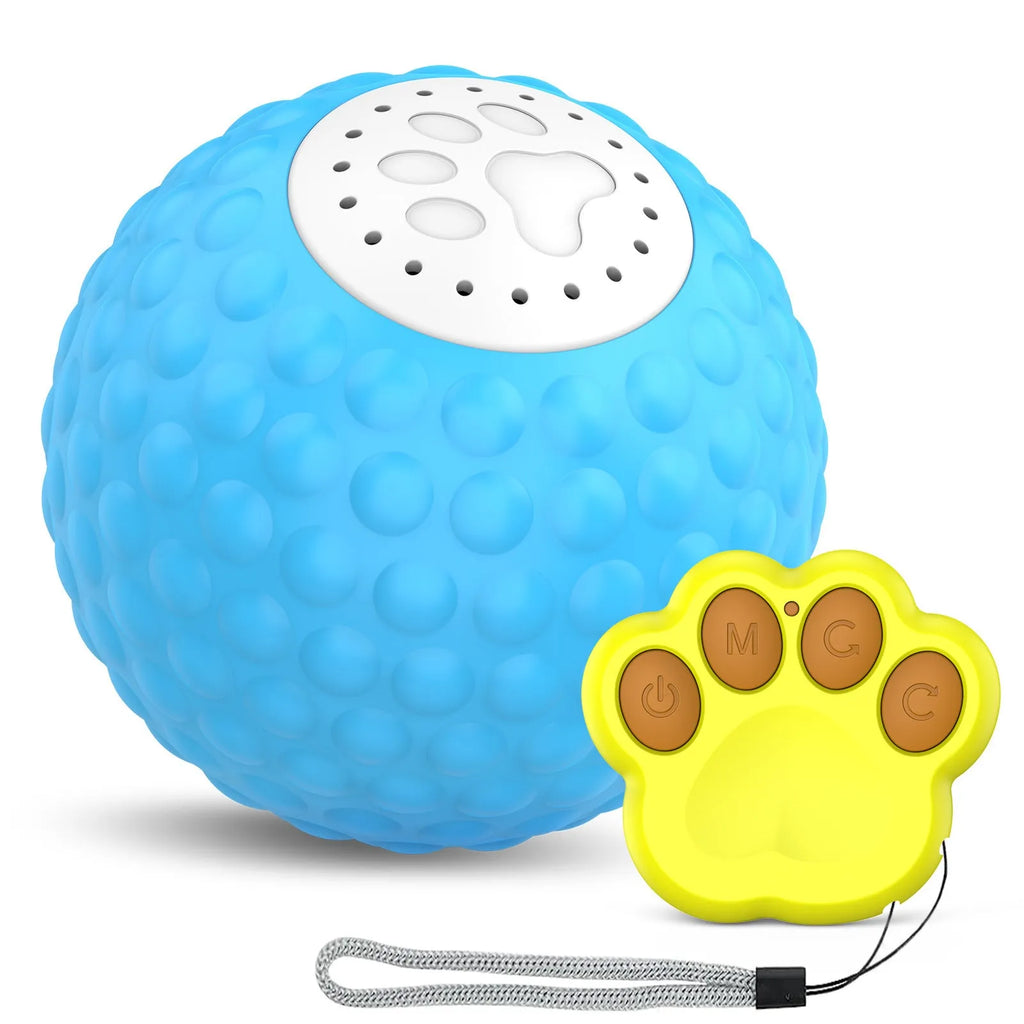 Remote control and a coloured ball cat toy on a floor