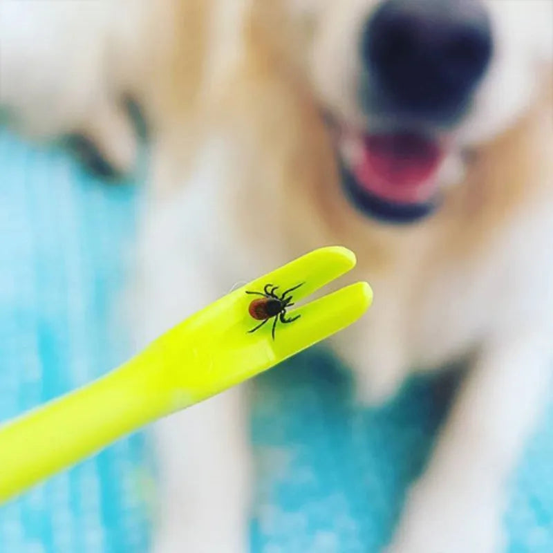 Three plastic tick removal clips for pets with hook design
