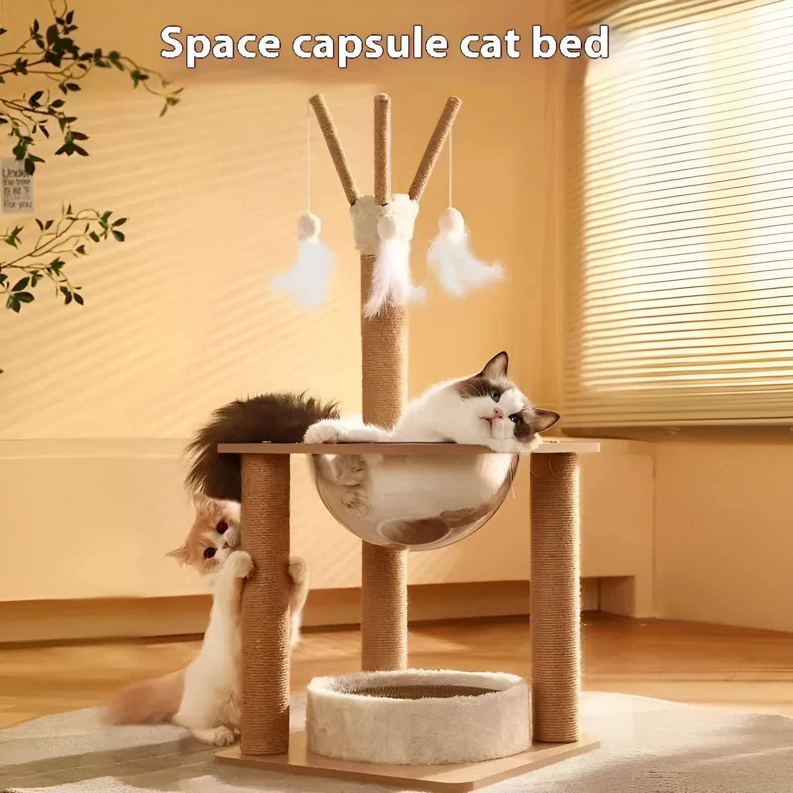 Wooden cat climbing frame with integrated space capsule in luxury wood colour